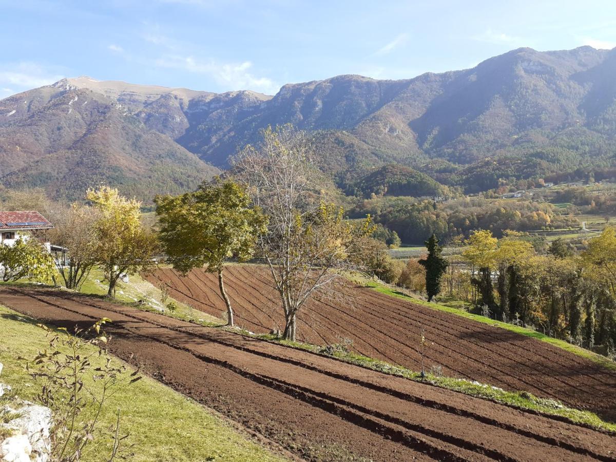 Coste Del Gaggio - Country House B&B - Garda Trentino 德利纳 外观 照片