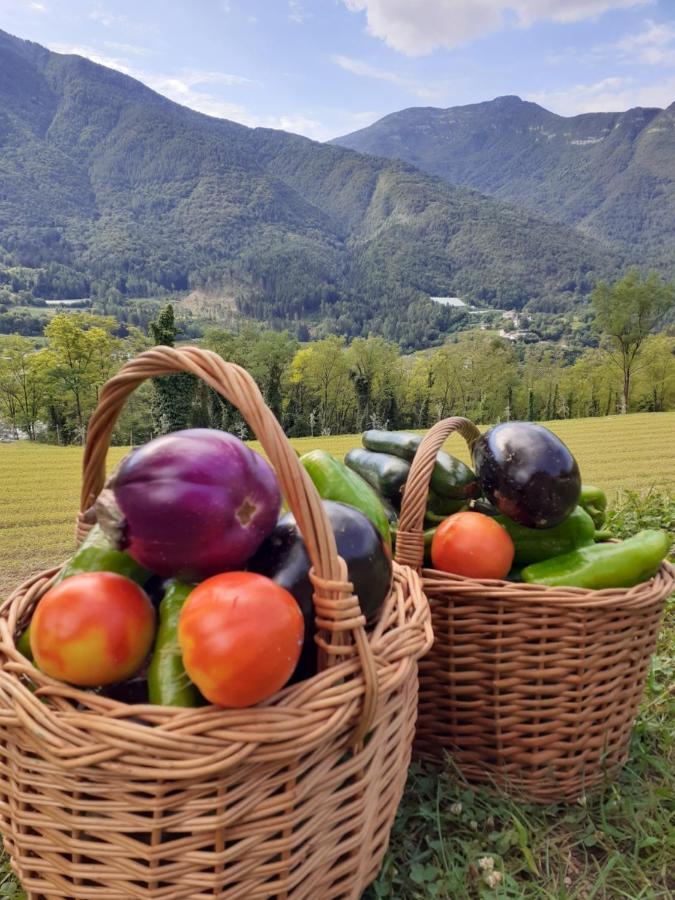 Coste Del Gaggio - Country House B&B - Garda Trentino 德利纳 外观 照片