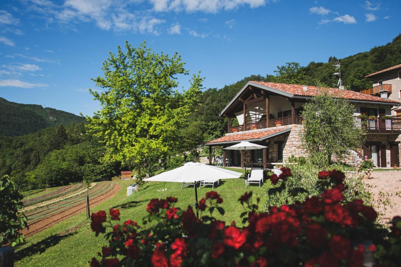 Coste Del Gaggio - Country House B&B - Garda Trentino 德利纳 外观 照片
