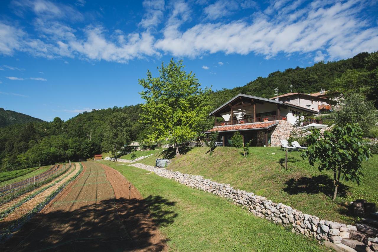 Coste Del Gaggio - Country House B&B - Garda Trentino 德利纳 外观 照片