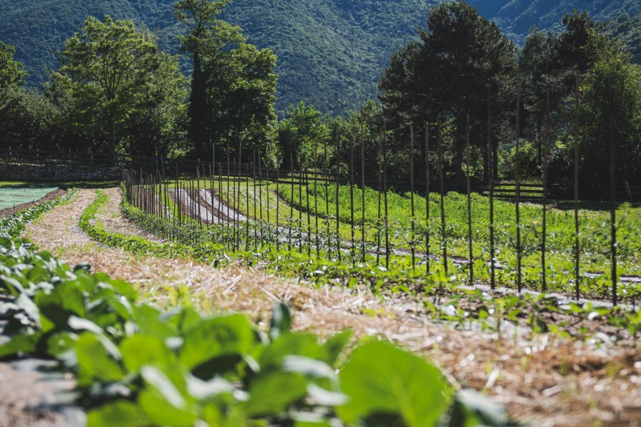 Coste Del Gaggio - Country House B&B - Garda Trentino 德利纳 外观 照片