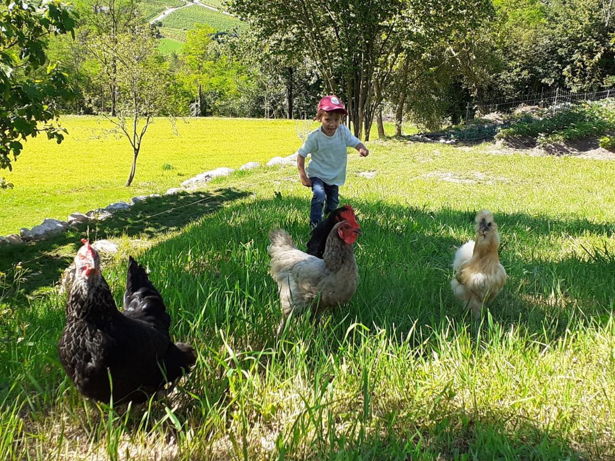 Coste Del Gaggio - Country House B&B - Garda Trentino 德利纳 外观 照片