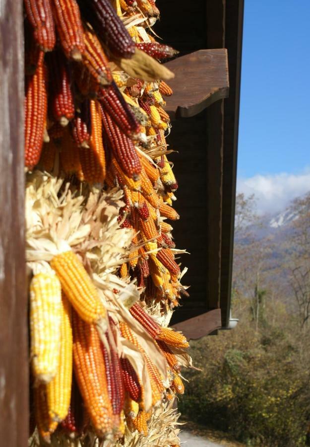 Coste Del Gaggio - Country House B&B - Garda Trentino 德利纳 外观 照片